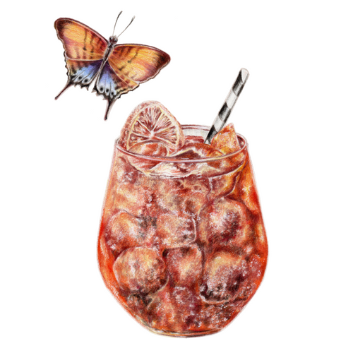 aperol spritz butterfly art design poster 