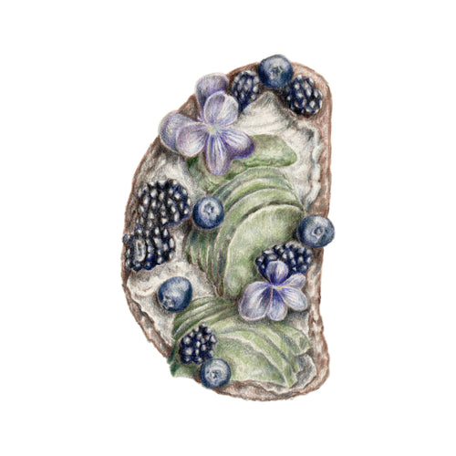 Kézzel rajzolt stílusos modern avokádós toast gasztro illusztráció, limitált művészeti falikép