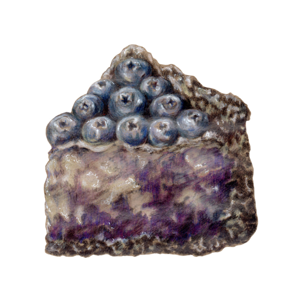 Kézzel rajzolt áfonyás sajttorta blueberry cheesecake gasztro illusztráció, limitált művészeti falikép