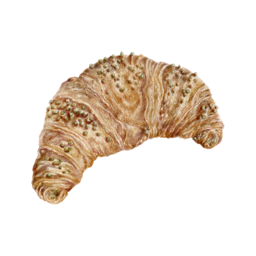 pisztacias croissant rajz muveszeti nyomat