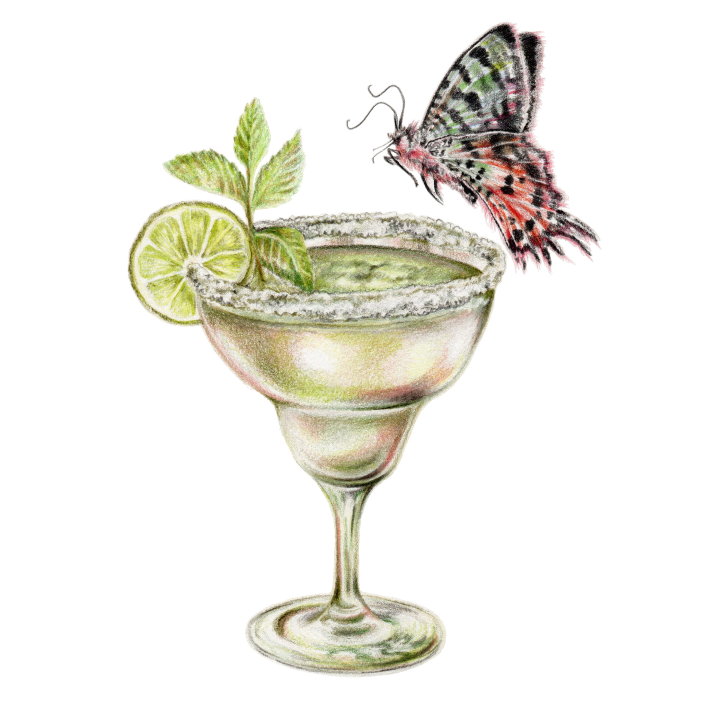 margarita cocktail with butterfly art print poster