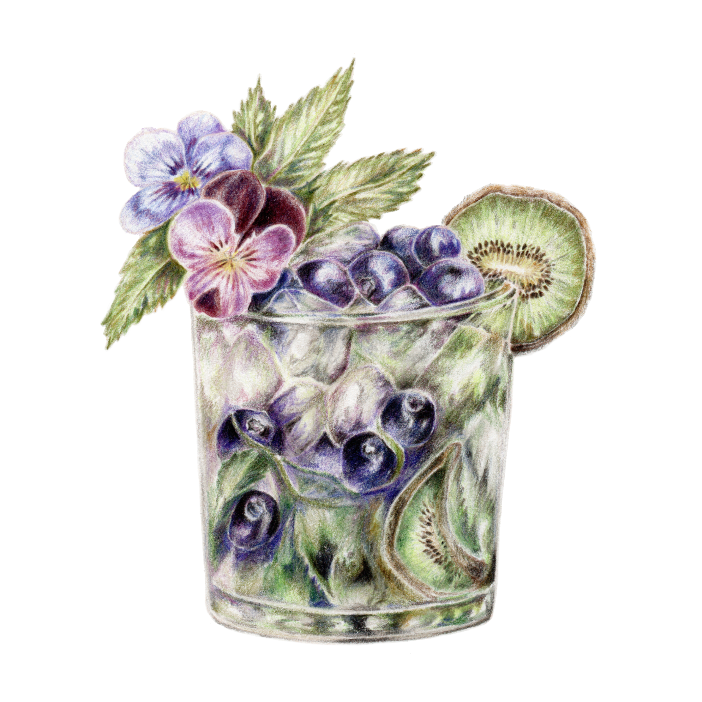 mojito cocktail art drawing