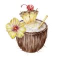 pina colada in coconut shell art drawing