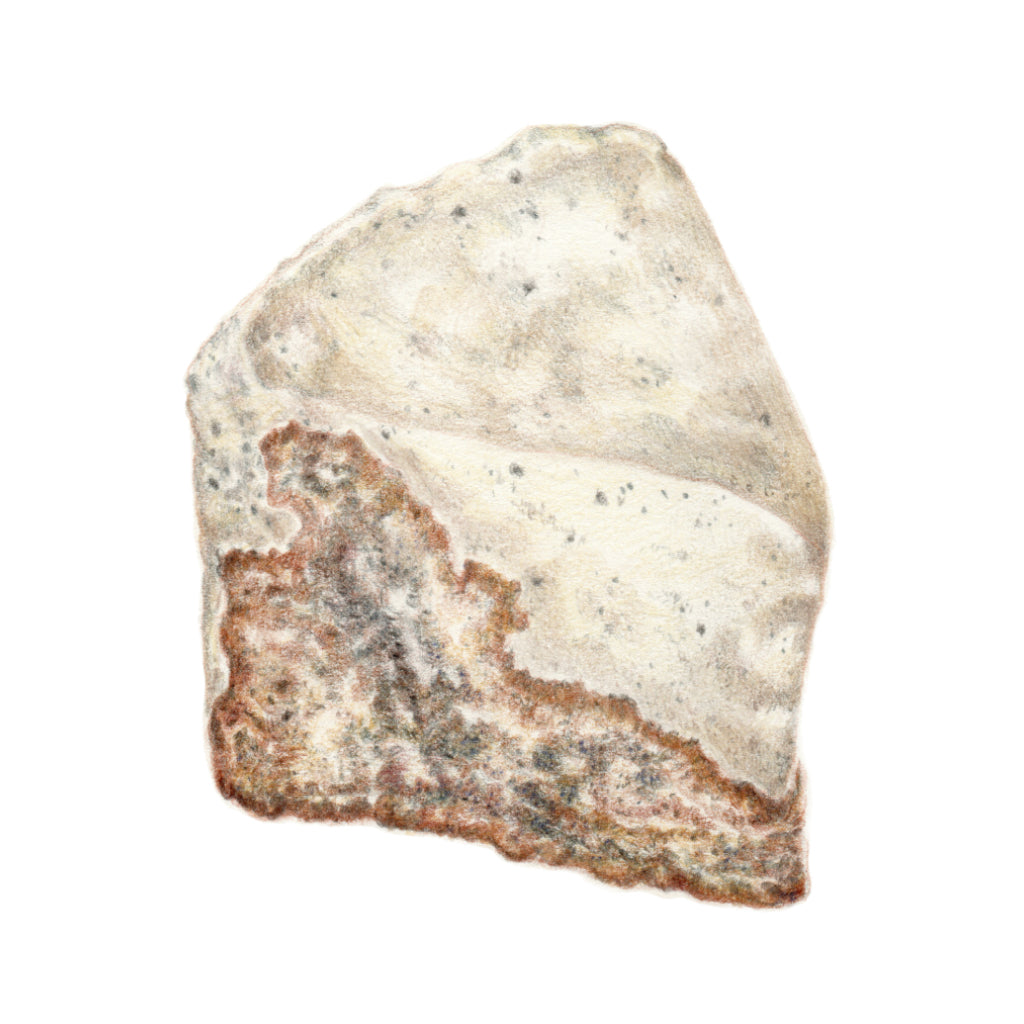 Poppy seed cake torta szelet igényes művészi rajz art print